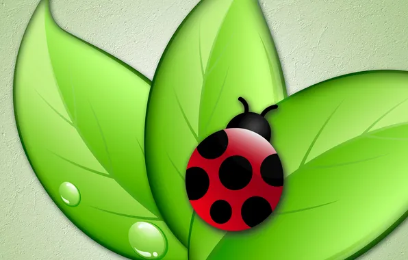 Picture leaves, ladybug, vector, insect