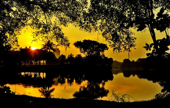 Picture sunset, garden, pond