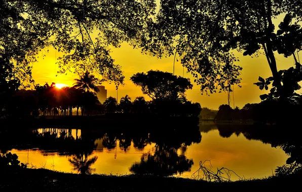 Sunset, garden, pond