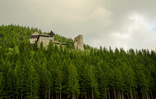 Picture forest, clouds, castle, forest, Castle