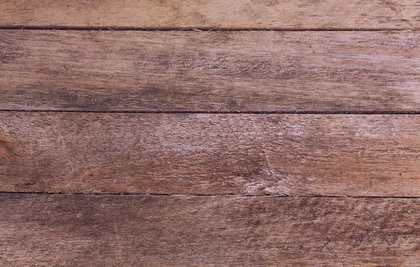 Tree, Board, color, texture