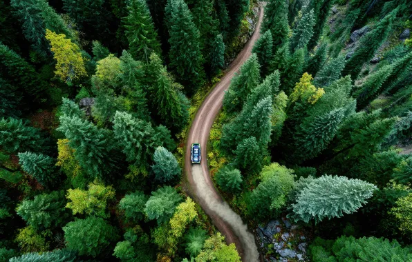 Road, machine, forest, trees, ate, highway, car, the view from the top