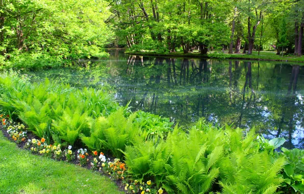 Green, park, lake
