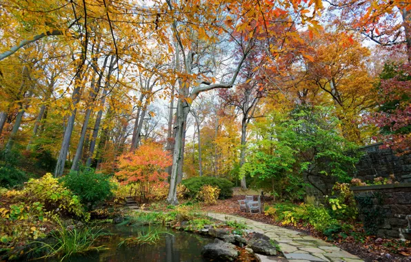 Picture autumn, trees, nature, pond, Park, photo, USA, Longwood Kennett Square