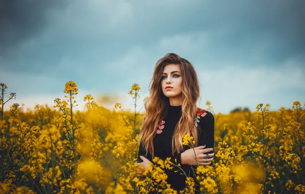 Picture field, girl, bokeh