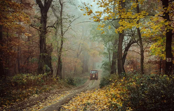Road, autumn, forest, trees, landscape, nature, fog, tractor