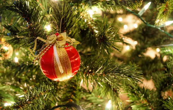 Branches, red, holiday, tree, ball, New Year, garland