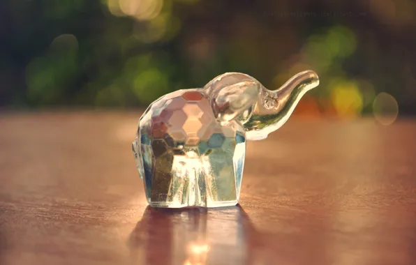 Picture elephant, figure, figures, elephant