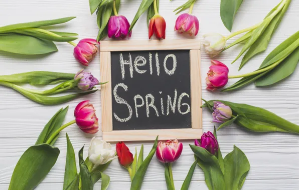 Flowers, Tulips, Board