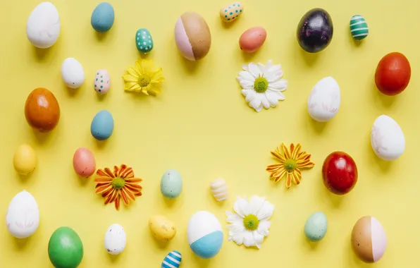 Flowers, chamomile, spring, colorful, Easter, flowers, spring, Easter