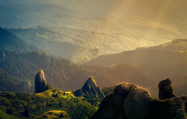 Trees, mountains, rocks, view, panorama