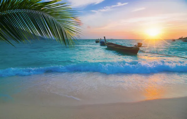 Sand, sea, wave, beach, summer, sunset, palm trees, shore