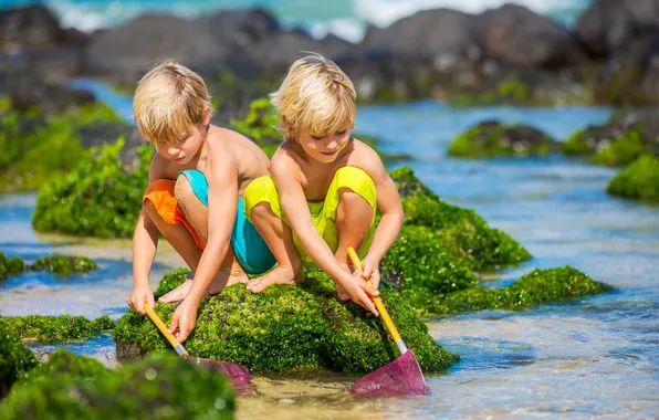 Sea, children, stones, the net