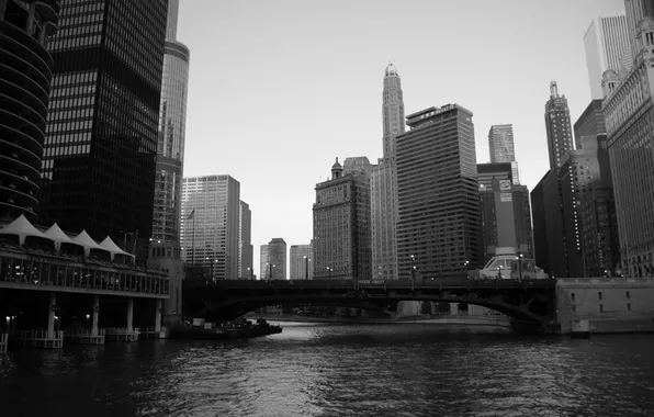 City, river, skyscrapers, USA, America, Chicago, Chicago, USA