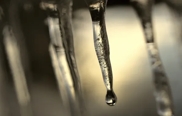 Picture drops, macro, ice