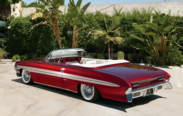 Palma, tuning, rear view, tuning, beautiful car, Convertible, Oldsmobile, 1961