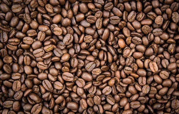 Picture background, coffee, grain, texture, background, beans, coffee, roasted