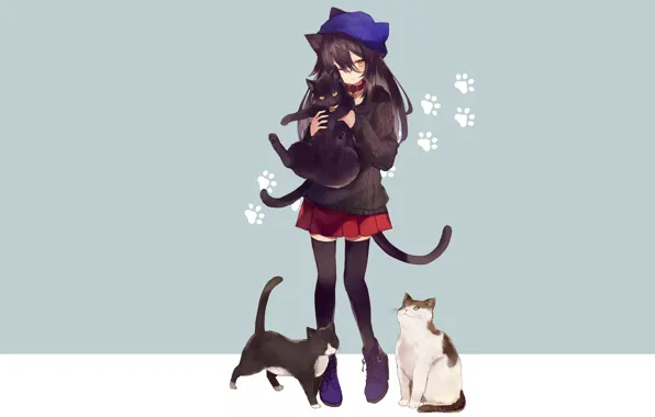Picture cat, cat, cats, anime, girl