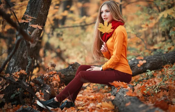 Picture autumn, girl, trees, sheet, foliage