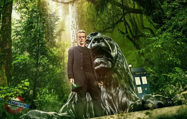 Greens, forest, look, trees, actor, male, Doctor Who, Doctor Who