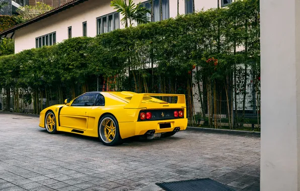 Picture design, Ferrari, Pininfarina, 1994, the only instance, Cross Spider, Collecting Cars, Koenig F48 ts