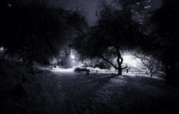 Snow, manhattan, central park