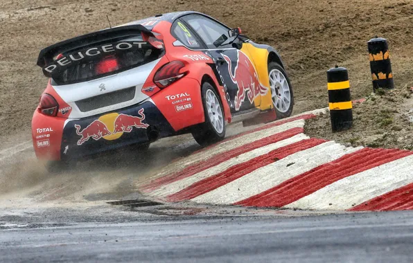 Peugeot, Skid, Peugeot, Loeb, Back, 208, WorldRX