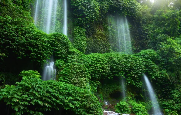 Greens, summer, nature, rocks, thickets, foliage, waterfall, stream