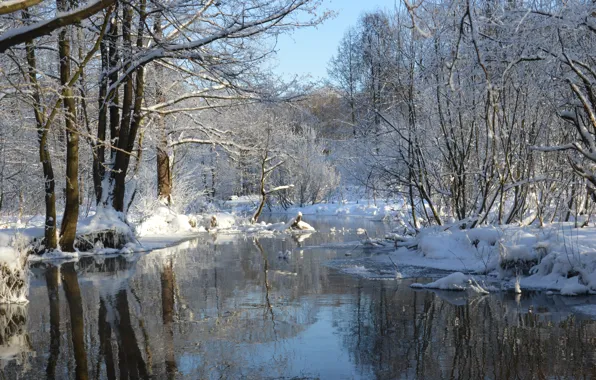 Trees, Winter, Snow, Frost, River, Winter, Frost, Snow