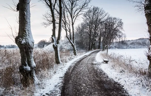 Picture winter, road, bench