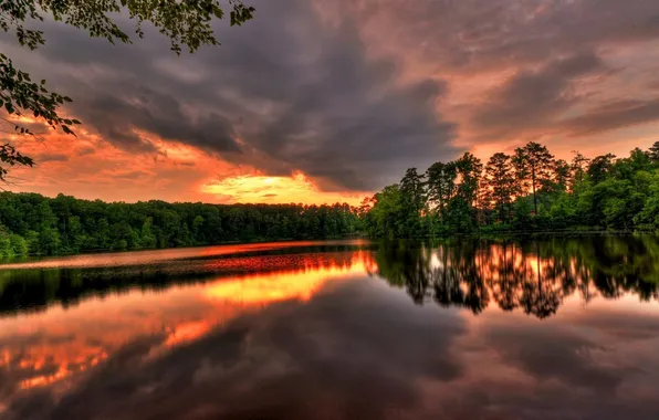 Picture the sky, trees, sunset, Lake