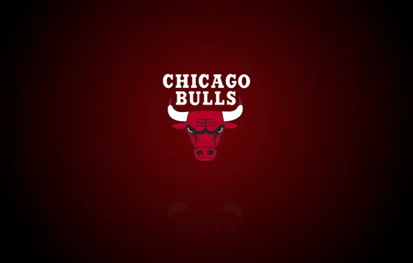 Chicago Bulls Logo 4K wallpaper download