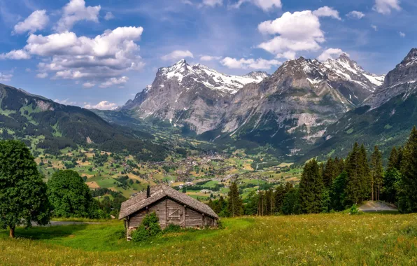 Forest, mountains, Alps, house