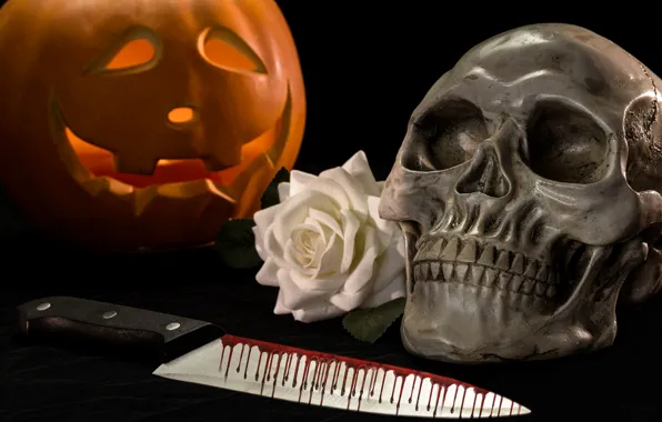 Picture blood, rose, skull, knife, pumpkin, Halloween