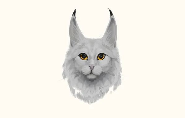Cat, eyes, look, wool