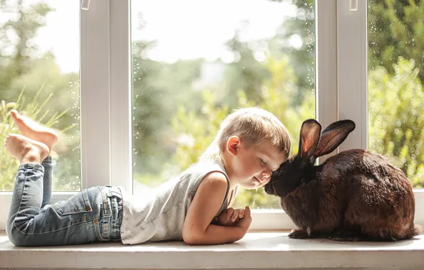 Picture love, mood, boy, rabbit, window, friendship, friends, on the windowsill