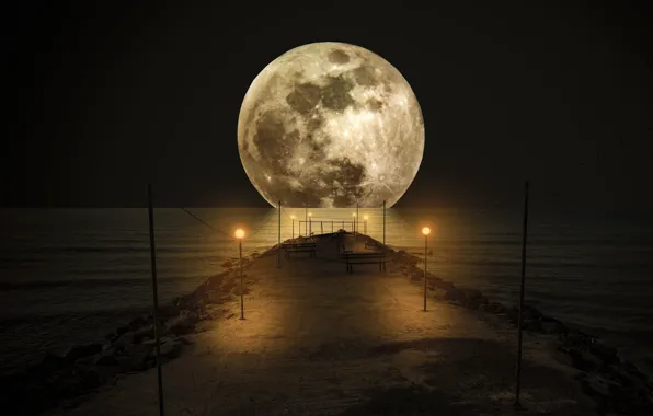 Picture light, night, bridge, the moon, posts, wire, lights
