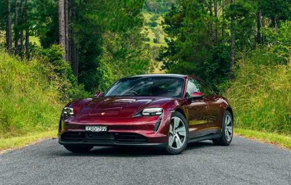Greens, trees, Porsche, Porsche, 2022, Taycan, Porsche Taycan