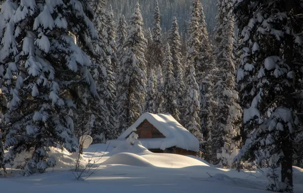 Winter, forest, snow, hut, ate, the snow, hut, Russia