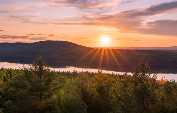 Forest, the sky, the sun, clouds, rays, light, sunset, mountains