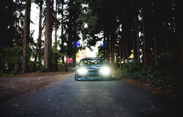 Picture forest, trees, Machine, Silvia, Nissan, Nissan, Tuning, Sylvia