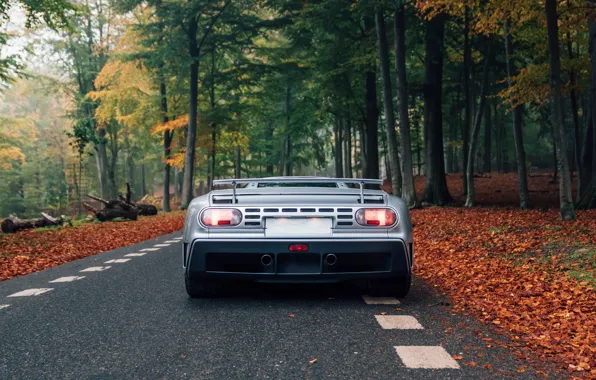 Picture Bugatti, rear, Bugatti EB110 GT, EB 110