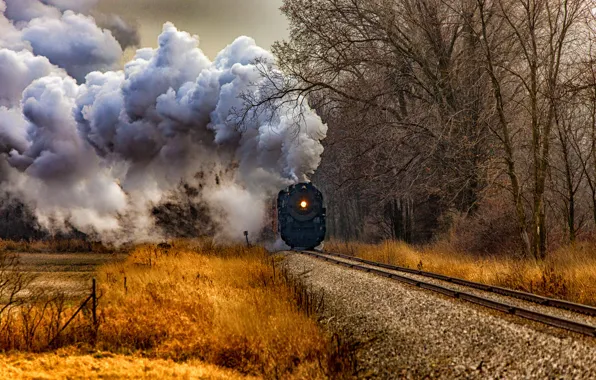 Picture road, autumn, grass, trees, smoke, the engine, Michigan, USA