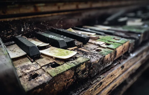 Keys, piano, naturalism