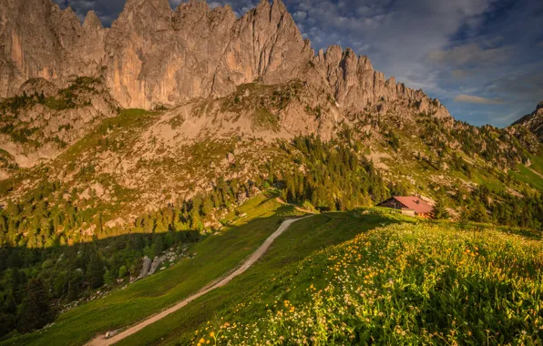 Greens, grass, the sun, clouds, trees, flowers, mountains, stones