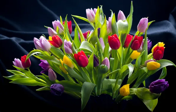 Picture bouquet, tulips, colorful