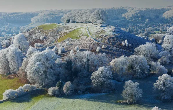 Picture winter, frost, trees, hills, England, beehive, Gloucestershire