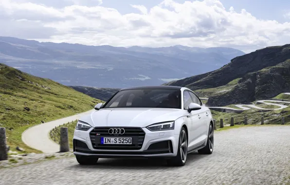 Road, Audi, Audi A5, 2019, S5 Sportback