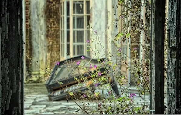Picture flowers, window, piano