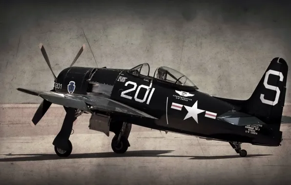 Style, background, the plane, F8-F Bearcat